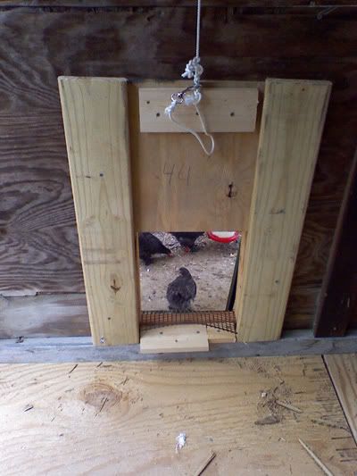 popdoor1.jpg
