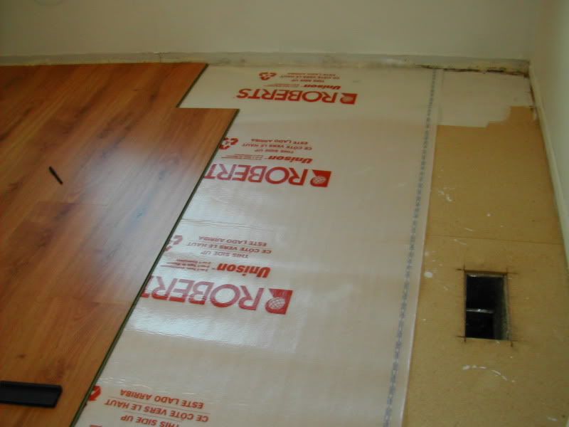 DSCN4246.jpg