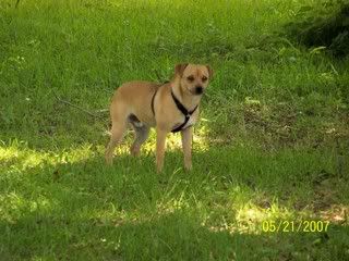 100_1587.jpg