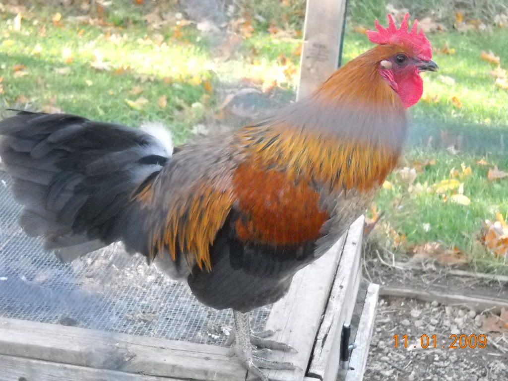 DSCN0525.jpg