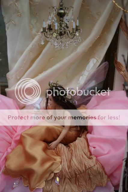 ContestPictures009.jpg