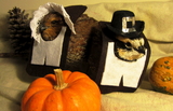 img8556112643780247989.jpg