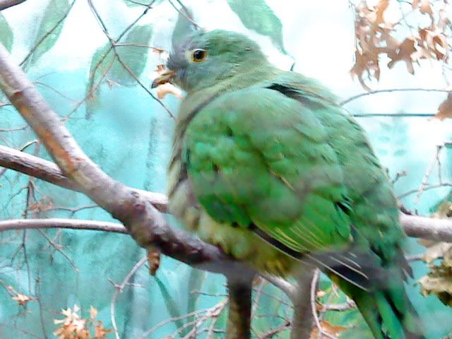 DSC08383.jpg