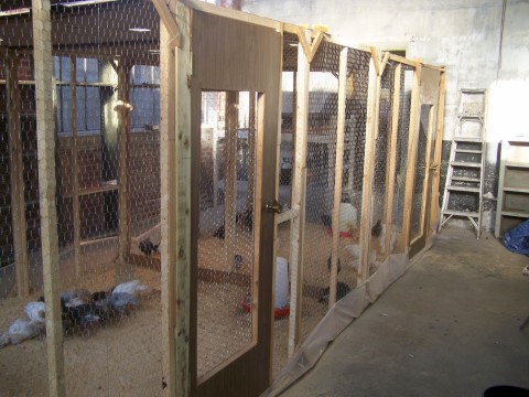 100_1419_brooder.jpg