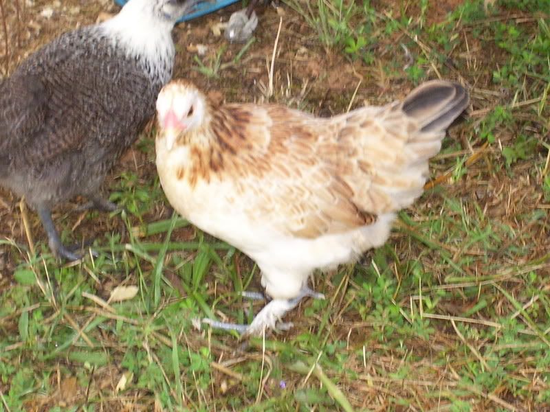 100_1561.jpg