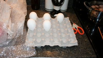 gooseeggs.jpg