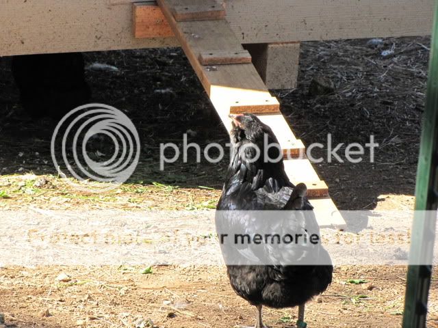 IMG_3544.jpg