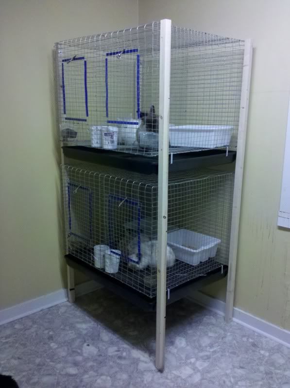 2011-07-21_03-22-15_905.jpg