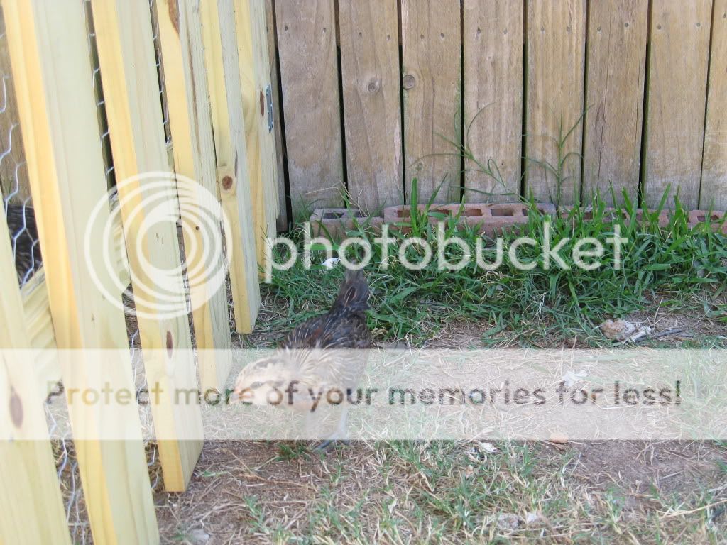 IMG_3147.jpg