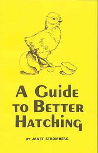 a_guide_to_better_hatching_main.jpg