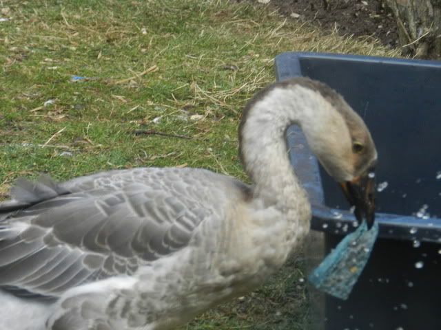DSCN0635.jpg