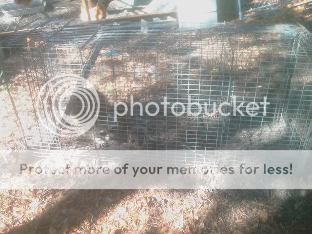 IMAG0124.jpg