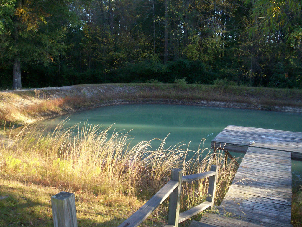 pond_by_fleabuskitty-d4ghot2.jpg