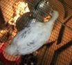 100_0119.jpg