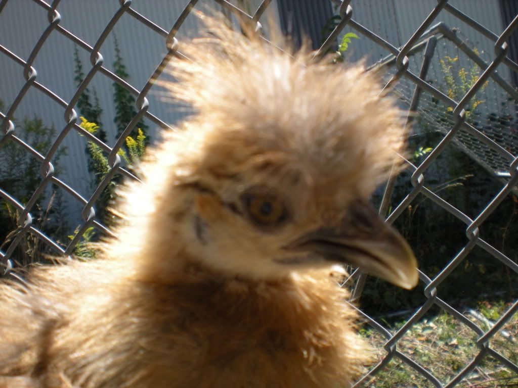 DSCN0470.jpg