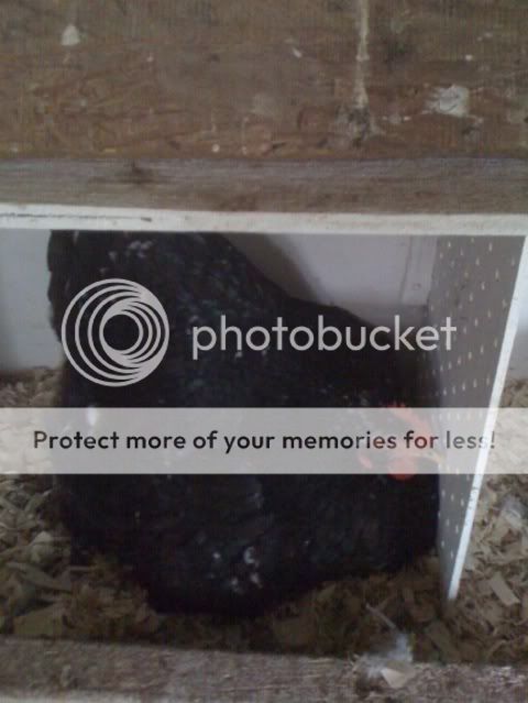 photo2-14.jpg