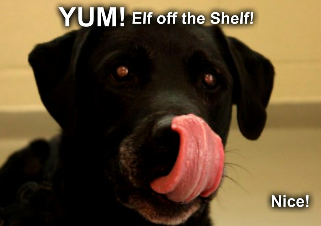11memeelfshelf.jpg
