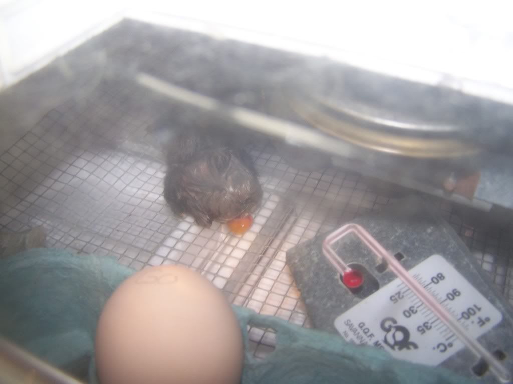 100_3200.jpg