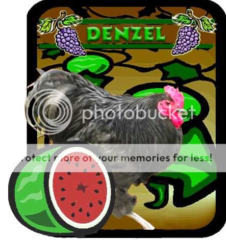 Watermelon-3.jpg