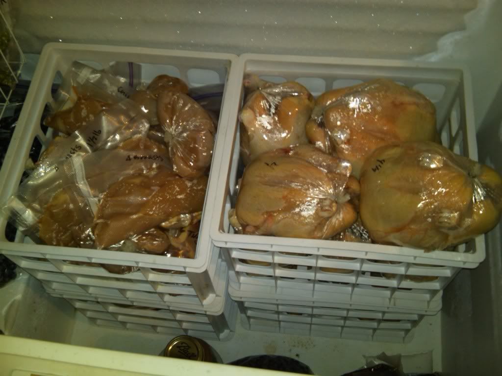 IMG00053-20110918-1631-1.jpg