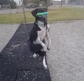 tumblr_n4xcvhMuXq1rl4jd8o1_400.gif