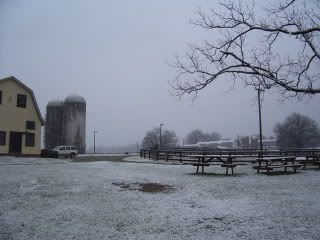 snow08010.jpg