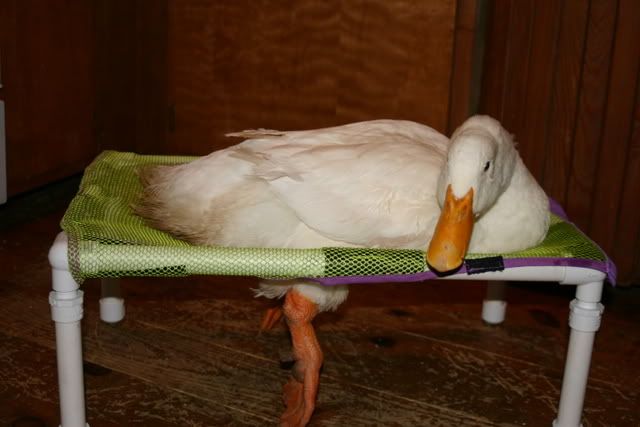 IMG_1934.jpg