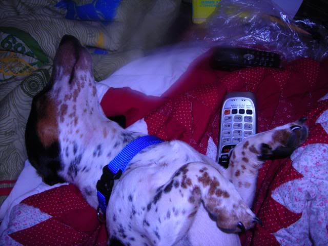DSCN4948.jpg