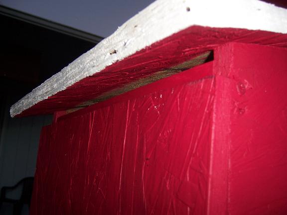 nestbox5.jpg