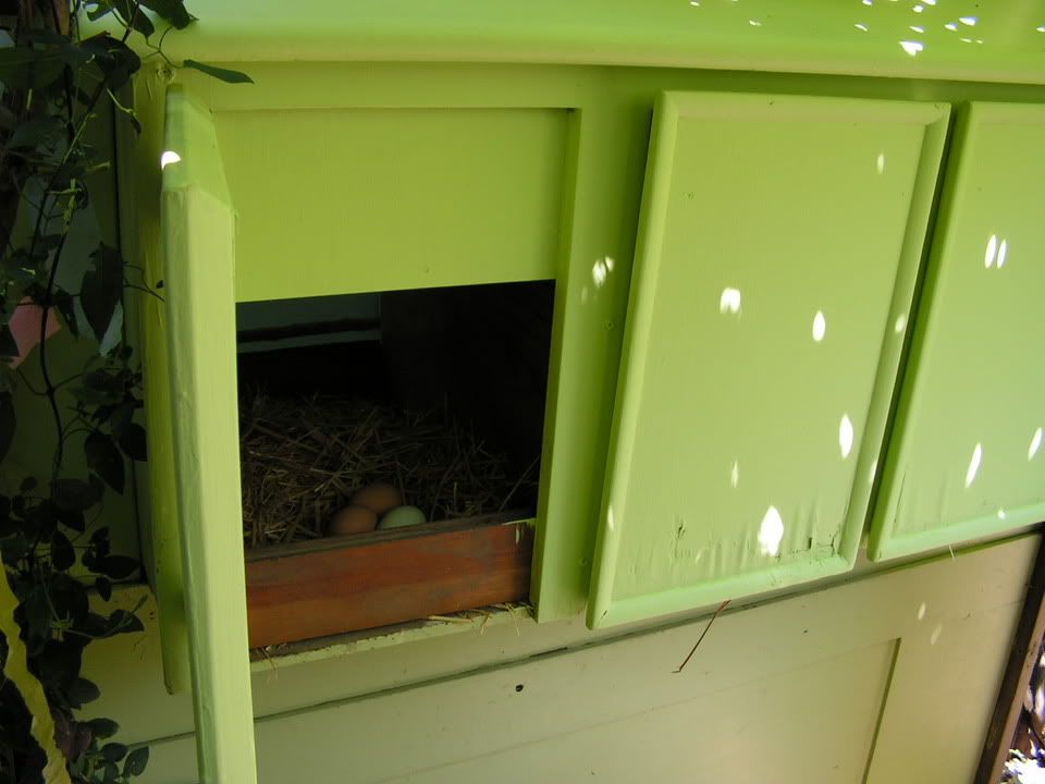 PICT0033.jpg