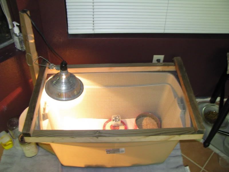 8-11-09002.jpg