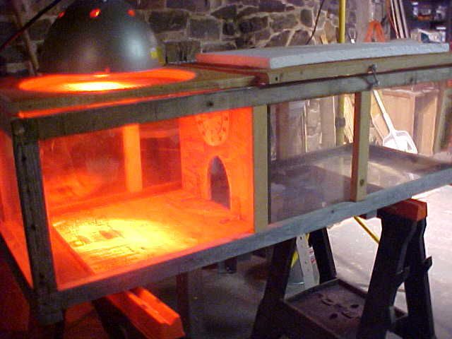 Mar2908Brooderbox04.jpg