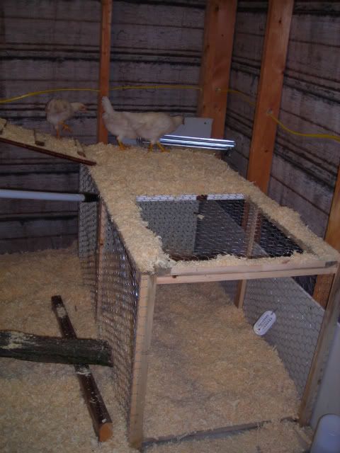 DSCN0467.jpg