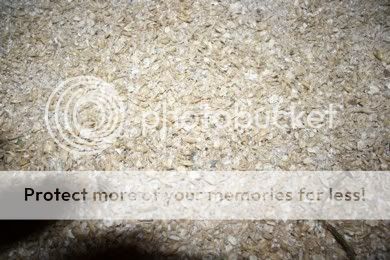 rolledgrain.jpg