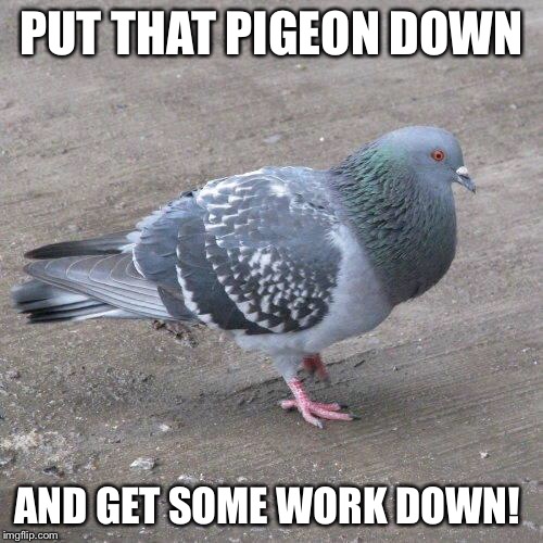 20b7nz.jpg