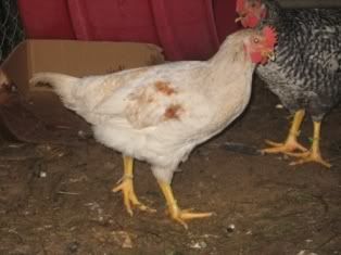whiteandyellow2months.jpg