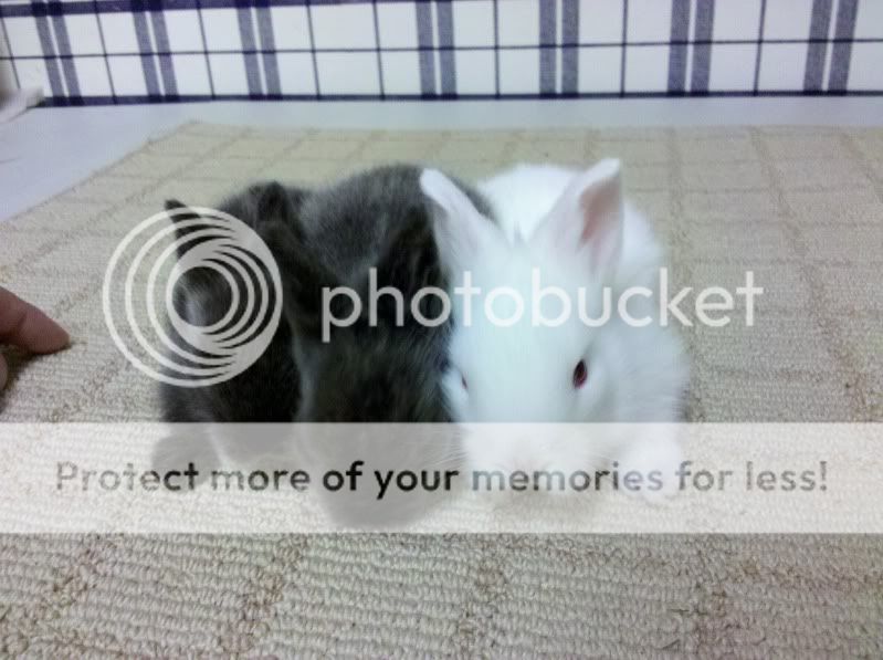 2011-08-22_18-55-48_676.jpg