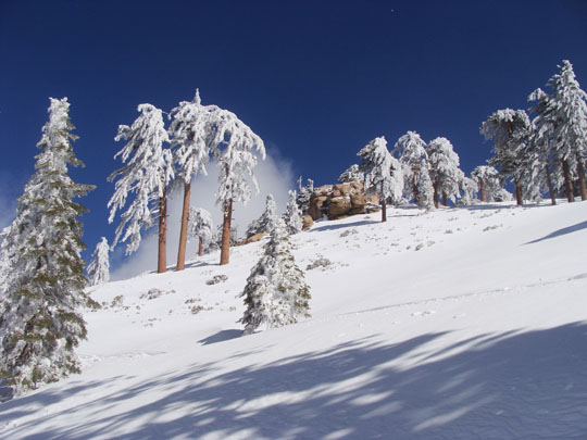 Snow_Valley_CA_2010_1.jpg