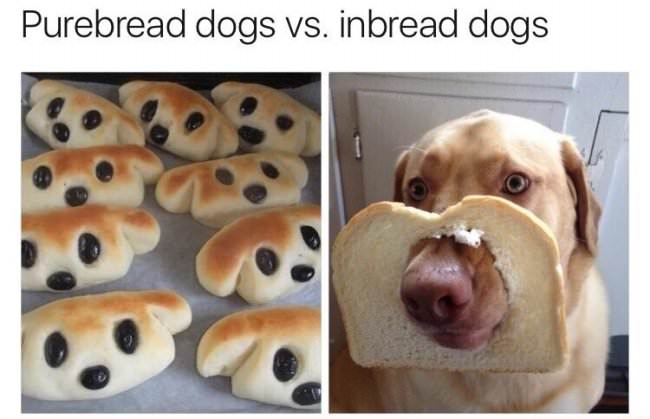 puns-31.jpg
