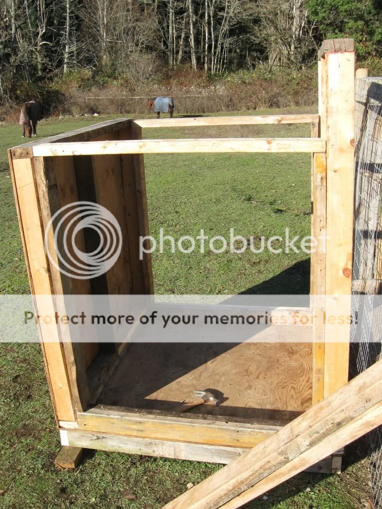 coopbuild011.jpg