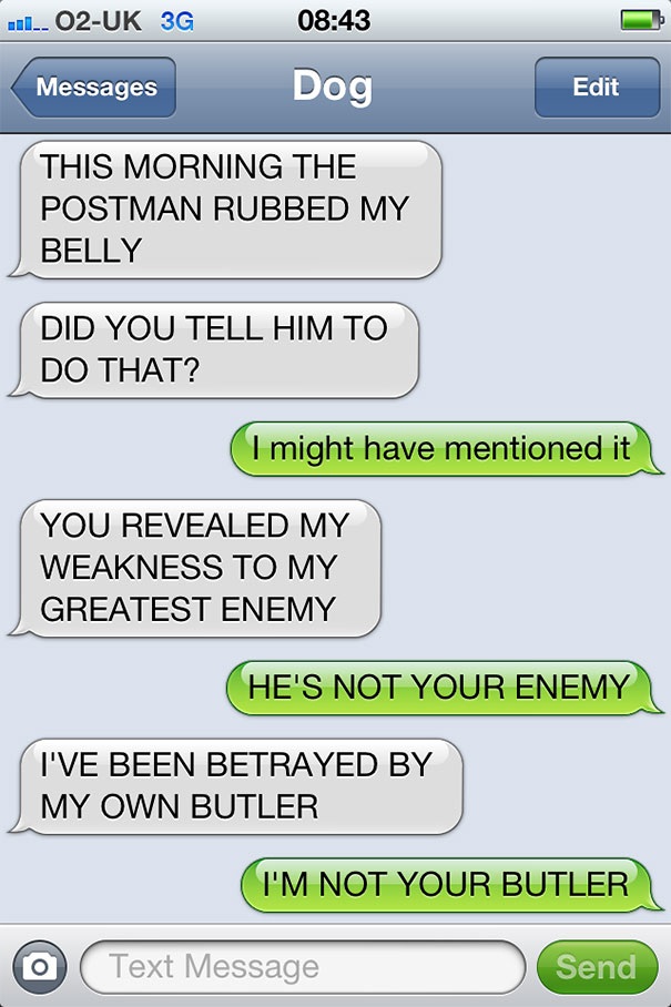 dog-texting-belly-rub.jpg