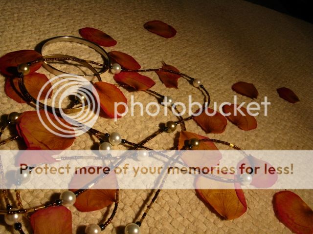 IMG_0385.jpg