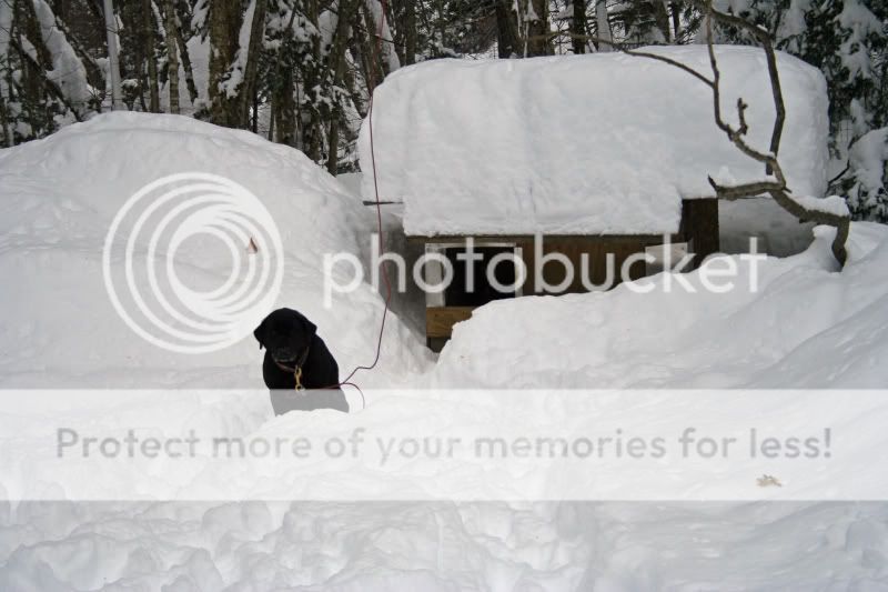 IMG_1865_edited-1.jpg