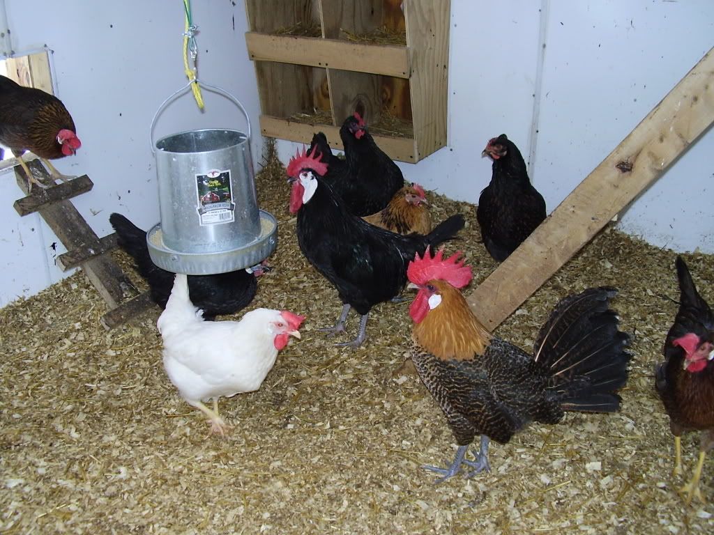 PC220030.jpg