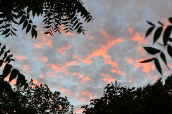 85calmingsunset.jpg