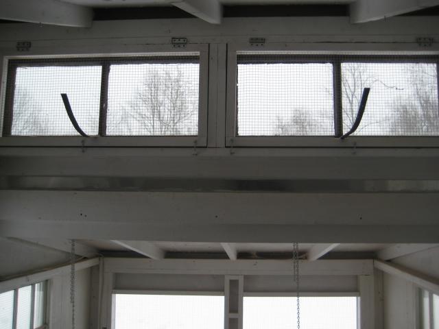 900x900px-LL-67b6760b_55557_img_1366.jpeg