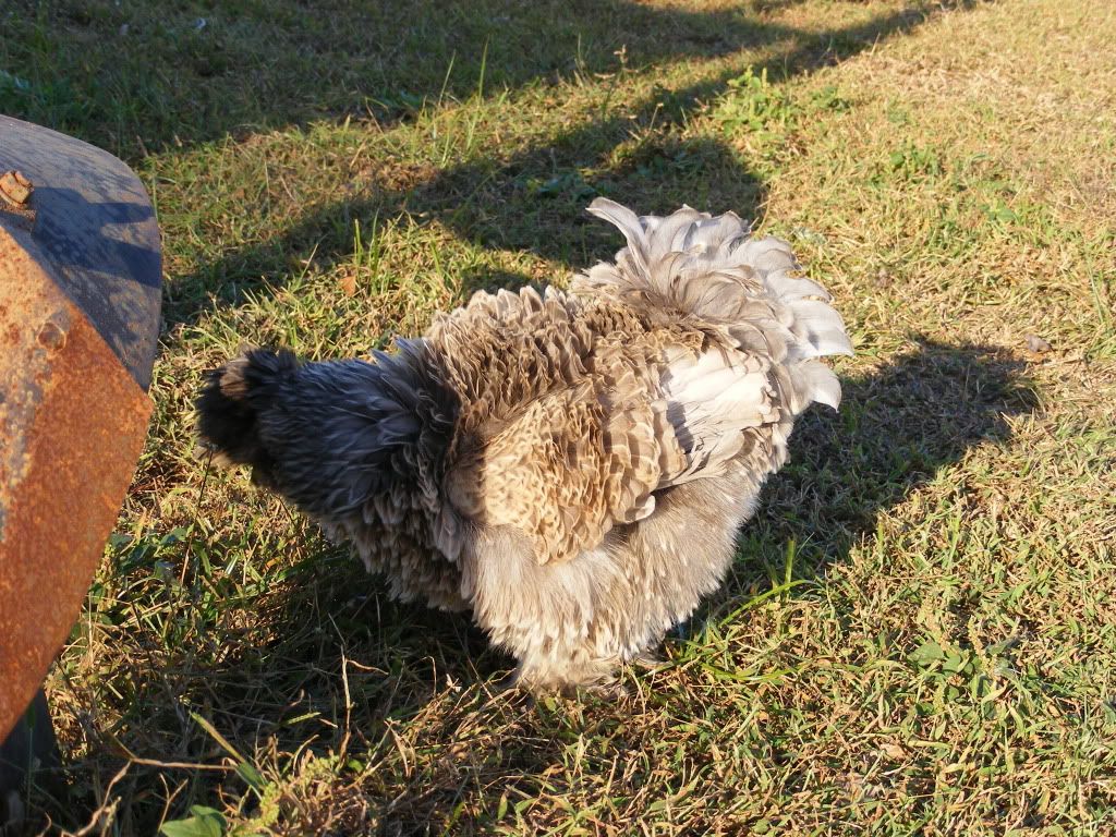 DSCF1619.jpg