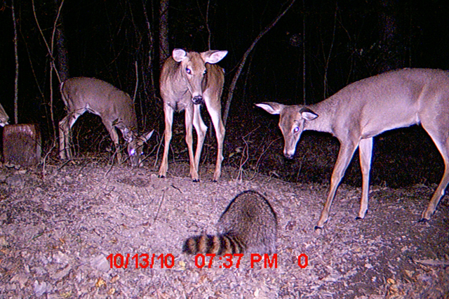 1047655613_FEgCV-O.jpg