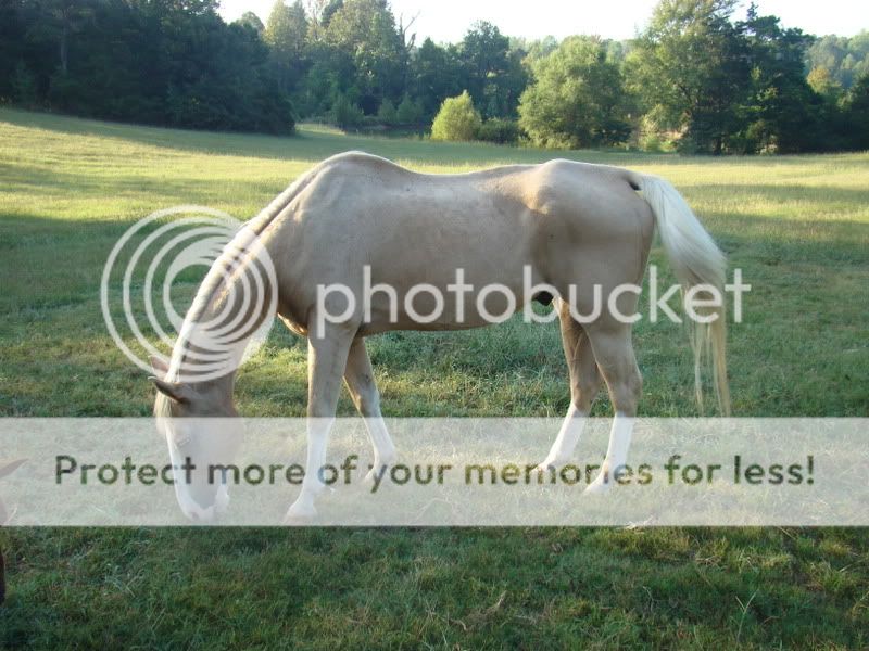 062-Copy.jpg