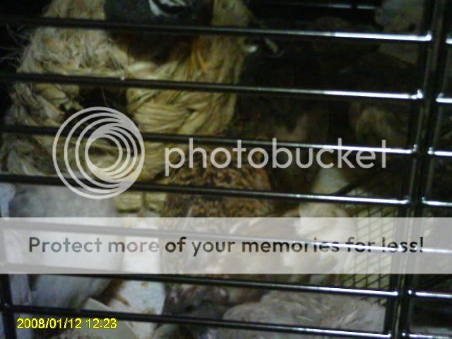 PICT0270.jpg